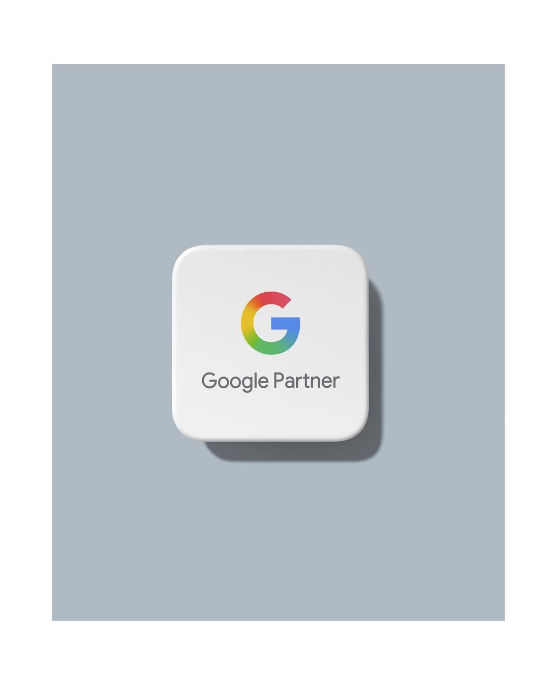 Google Partner